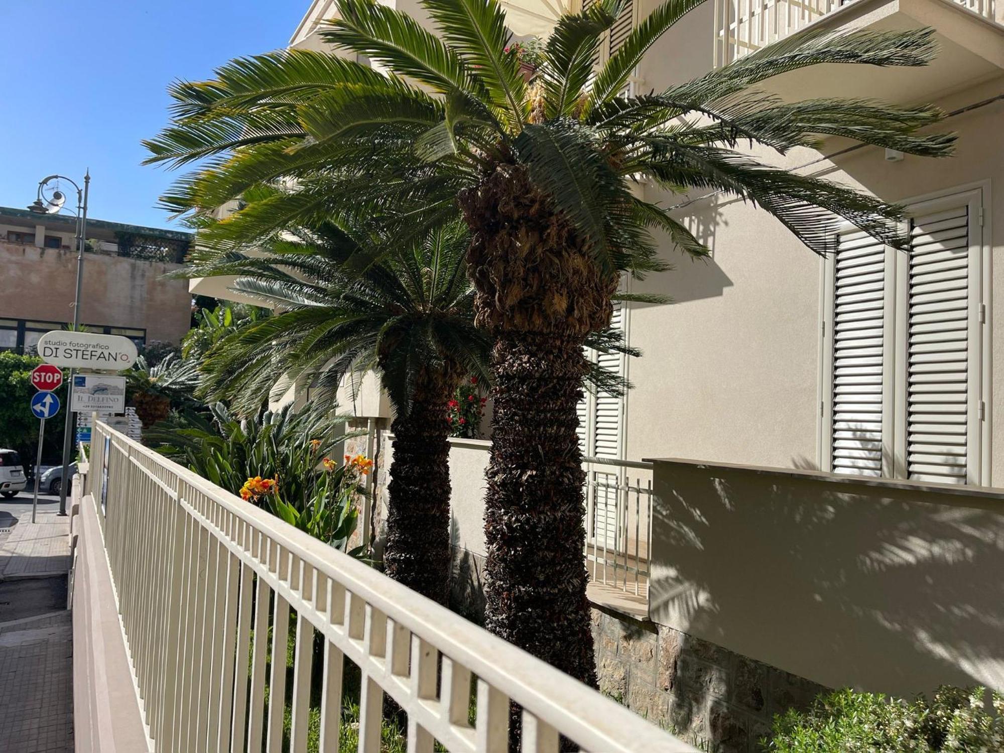 Il Delfino Holiday House Cefalù Zewnętrze zdjęcie